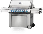 NAPOLEON PRESTIGE PRO 665 RSIB - Image 2