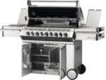 NAPOLEON PRESTIGE PRO 665 RSIB - Image 3